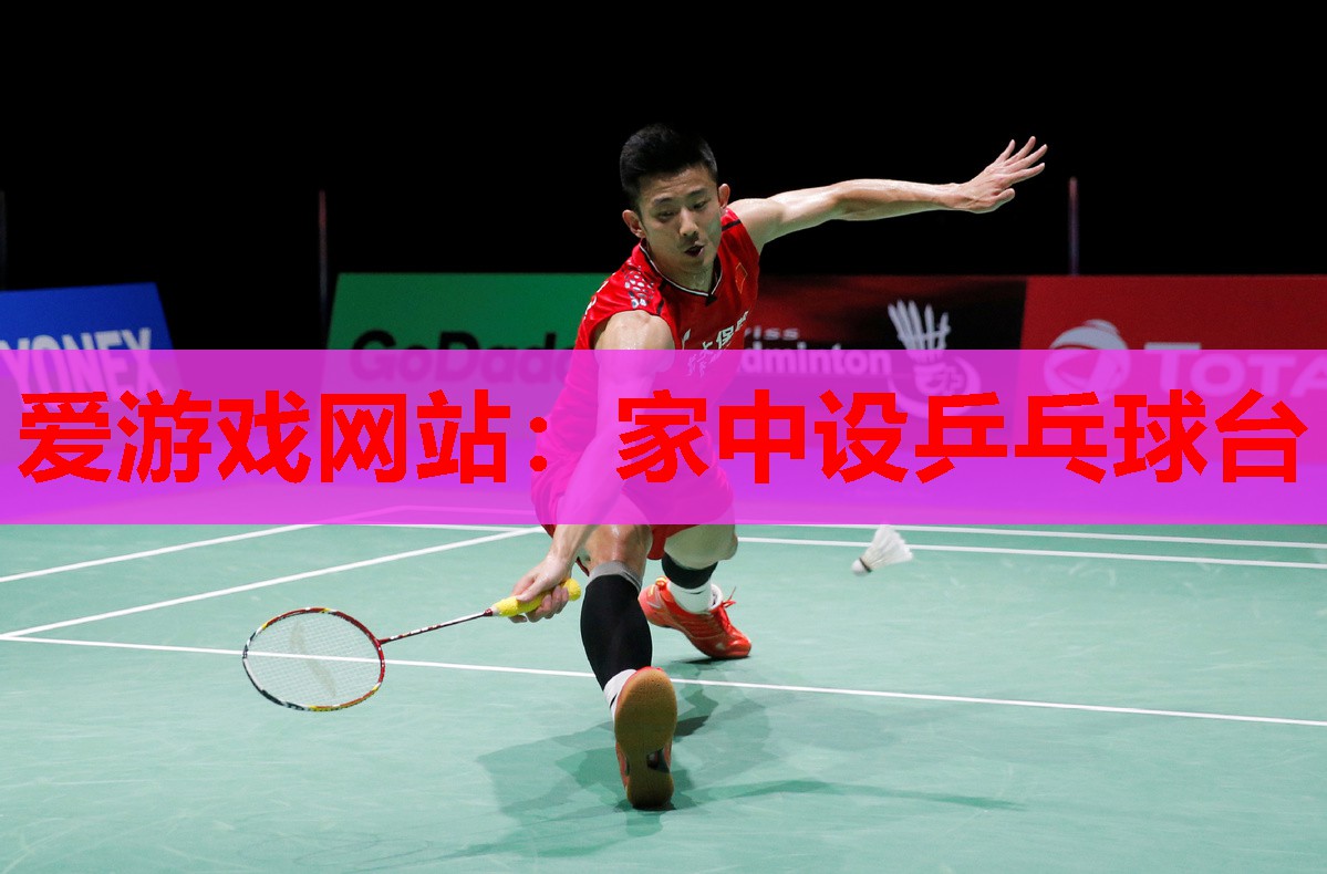 爱游戏网站：家中设乒乓球台