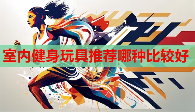 室内健身玩具推荐哪种比较好