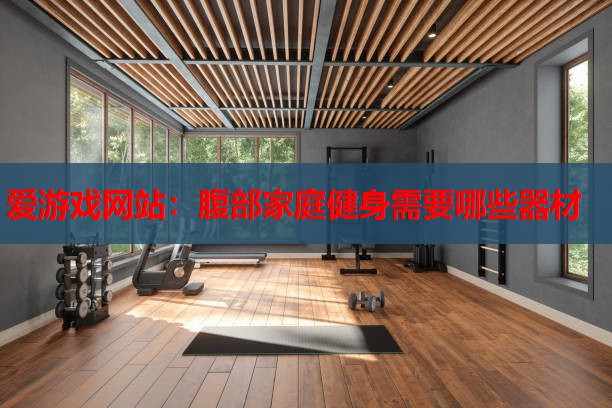 爱游戏网站：腹部家庭健身需要哪些器材