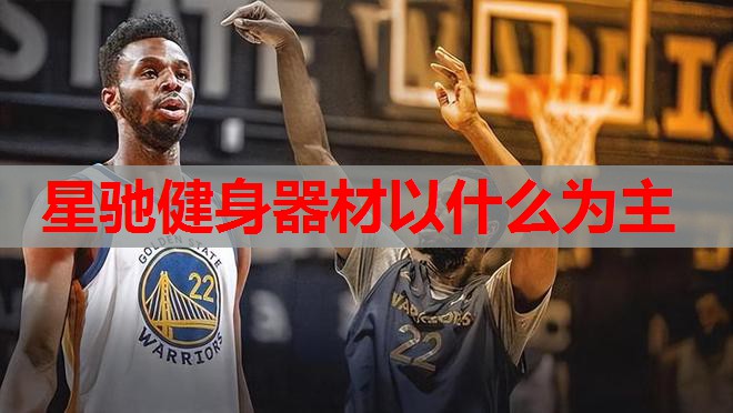 星驰健身器材以什么为主