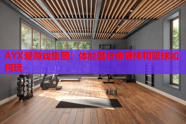 AYX爱游戏集团：体能器材金箍棒和篮球如何玩