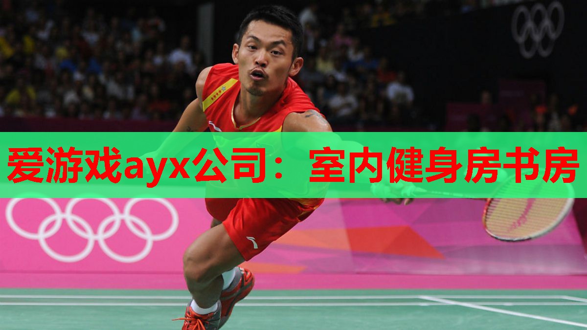 爱游戏ayx公司：室内健身房书房