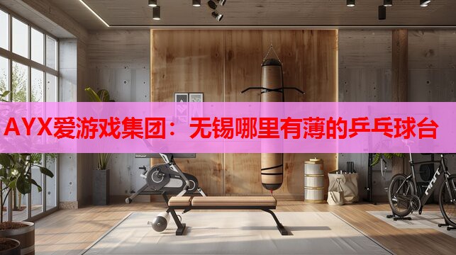 AYX爱游戏集团：无锡哪里有薄的乒乓球台