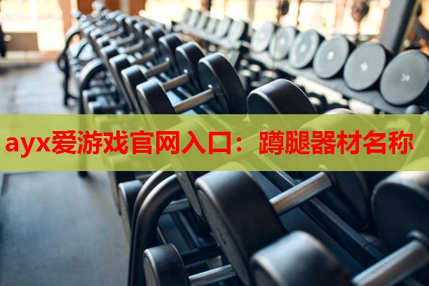 ayx爱游戏官网入口：蹲腿器材名称