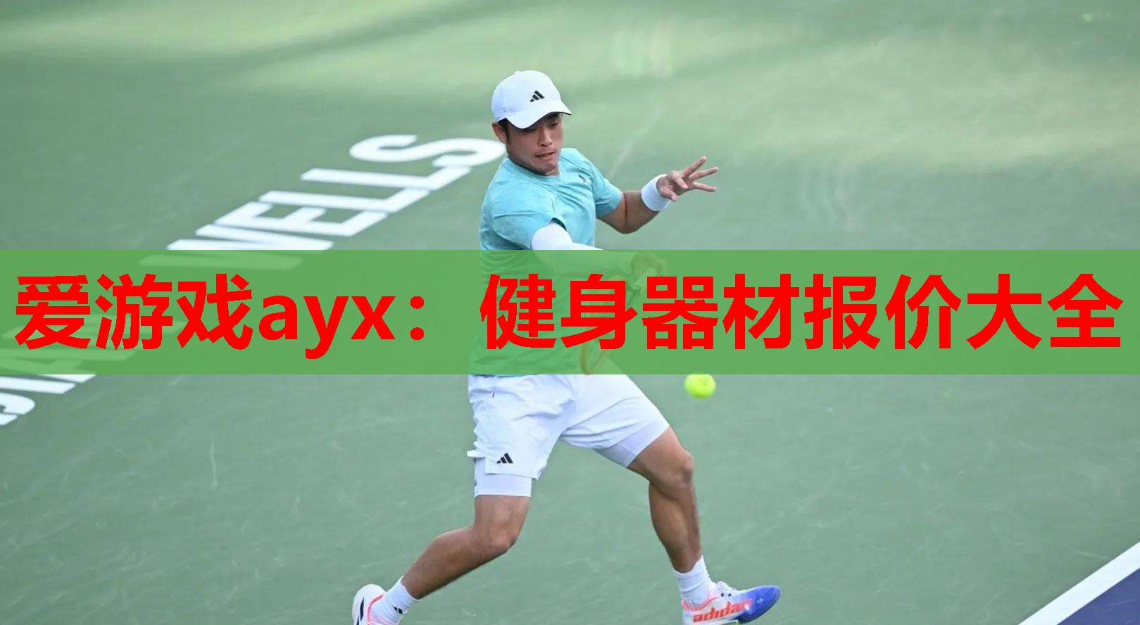 爱游戏ayx：健身器材报价大全