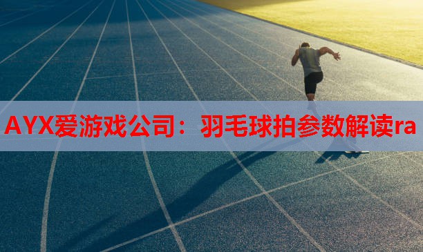 AYX爱游戏公司：羽毛球拍参数解读ra