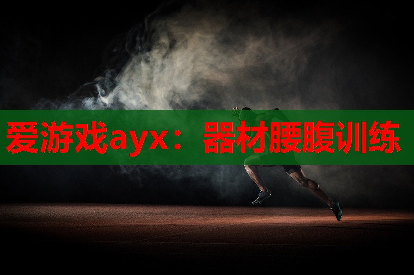 器材腰腹训练 器材腰腹训练
