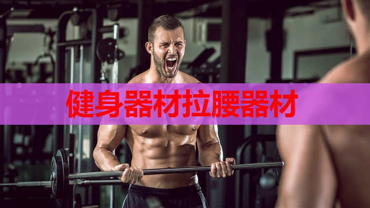 健身器材拉腰器材 健身器材拉腰器材
