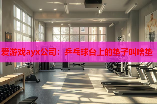 乒乓球台上的垫子叫啥垫 乒乓球台上的垫子叫啥垫
