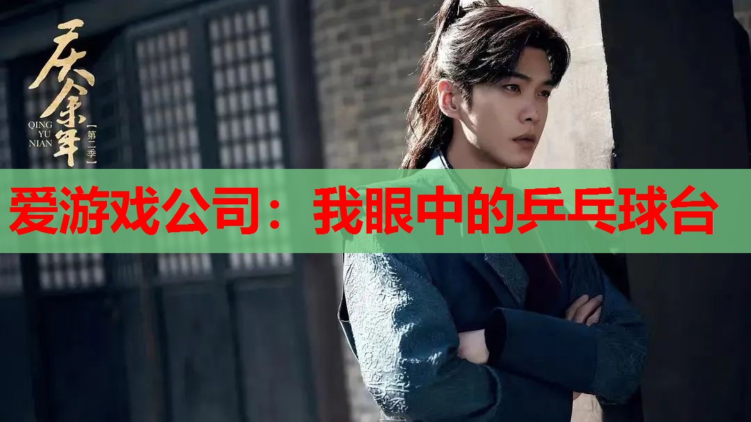 我眼中的乒乓球台 我眼中的乒乓球台