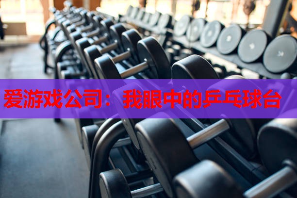 我眼中的乒乓球台 我眼中的乒乓球台
