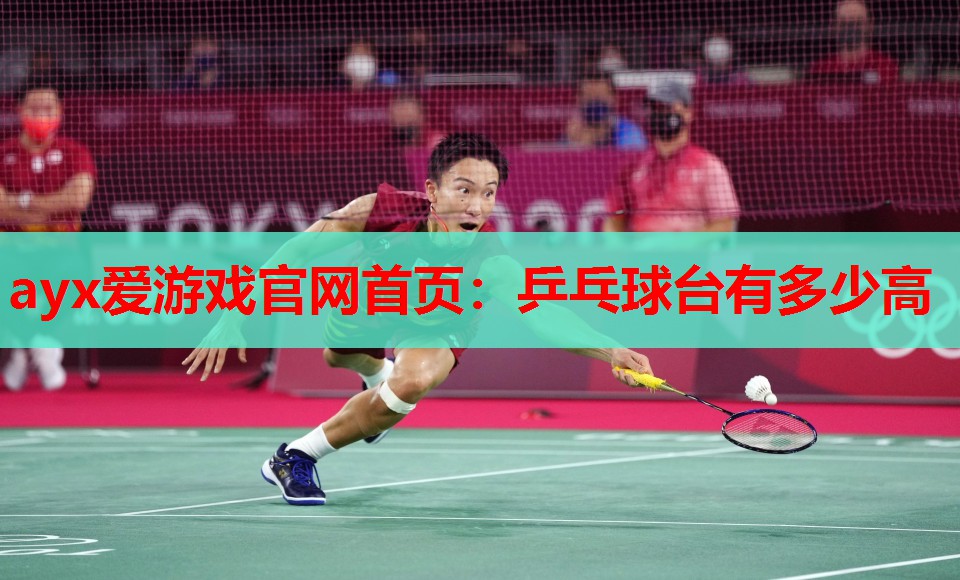 乒乓球台有多少高 乒乓球台有多少高