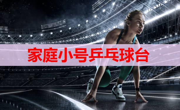 家庭小号乒乓球台 家庭小号乒乓球台