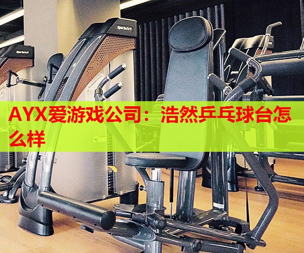 浩然乒乓球台怎么样 浩然乒乓球台怎么样
