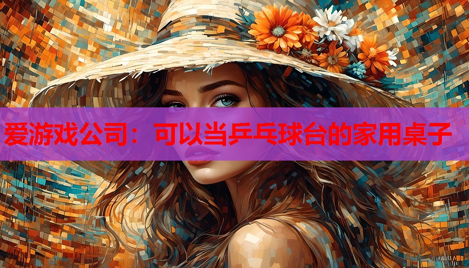 可以当乒乓球台的家用桌子 可以当乒乓球台的家用桌子