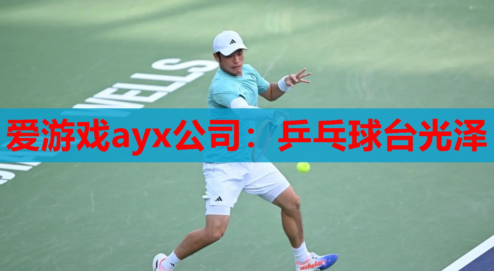 乒乓球台光泽 乒乓球台光泽