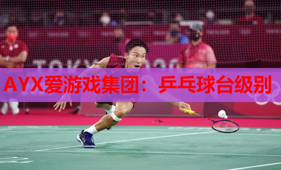 乒乓球台级别 乒乓球台级别