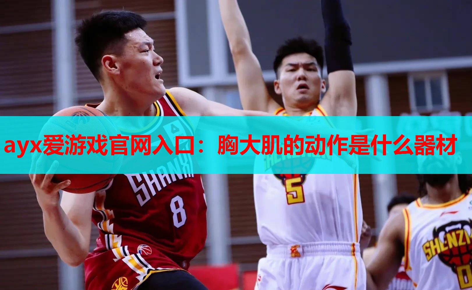 胸大肌的动作是什么器材 胸大肌的动作是什么器材