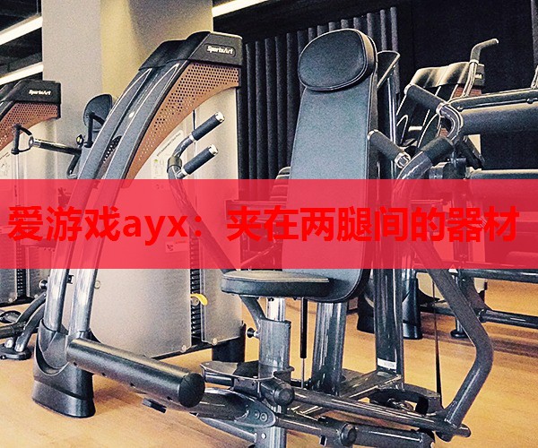 夹在两腿间的器材 夹在两腿间的器材