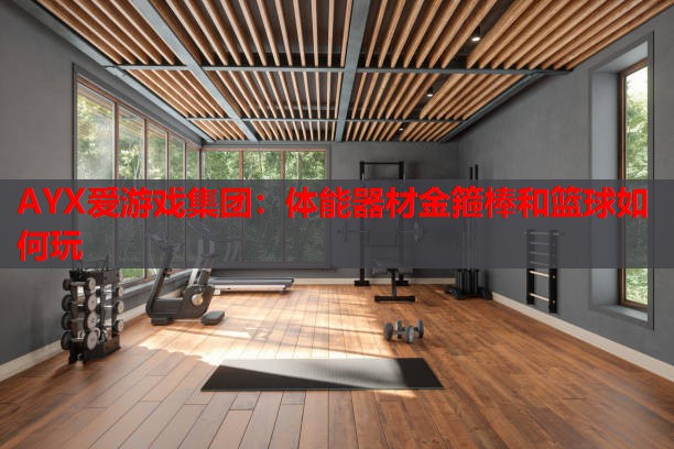 体能器材金箍棒和篮球如何玩 体能器材金箍棒和篮球如何玩