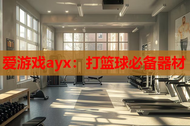 打篮球必备器材 打篮球必备器材