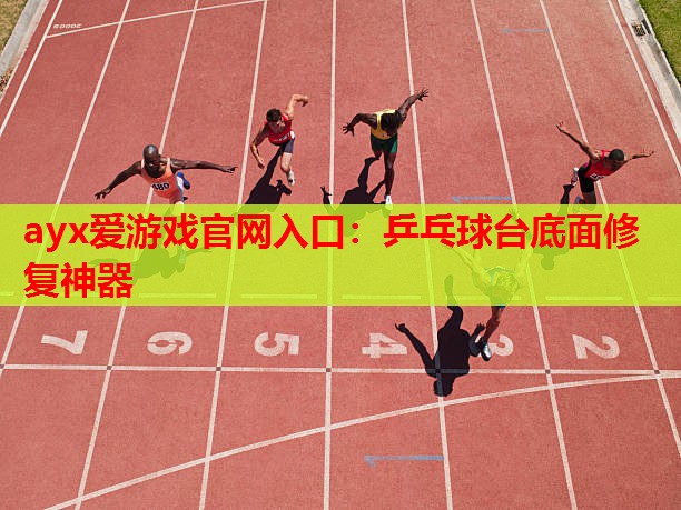 乒乓球台底面修复神器 乒乓球台底面修复神器