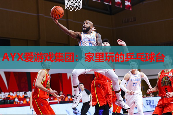家里玩的乒乓球台 家里玩的乒乓球台