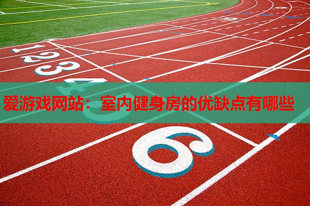 室内健身房的优缺点有哪些 室内健身房的优缺点有哪些