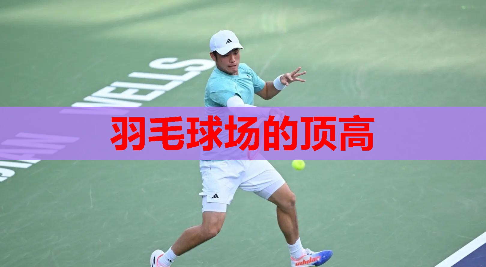 羽毛球场的顶高 羽毛球场的顶高