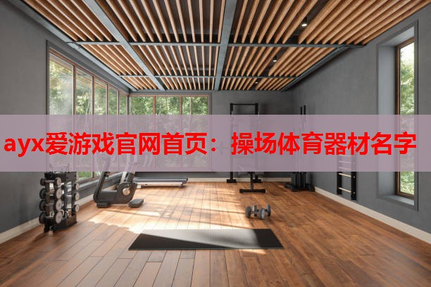 操场体育器材名字 操场体育器材名字