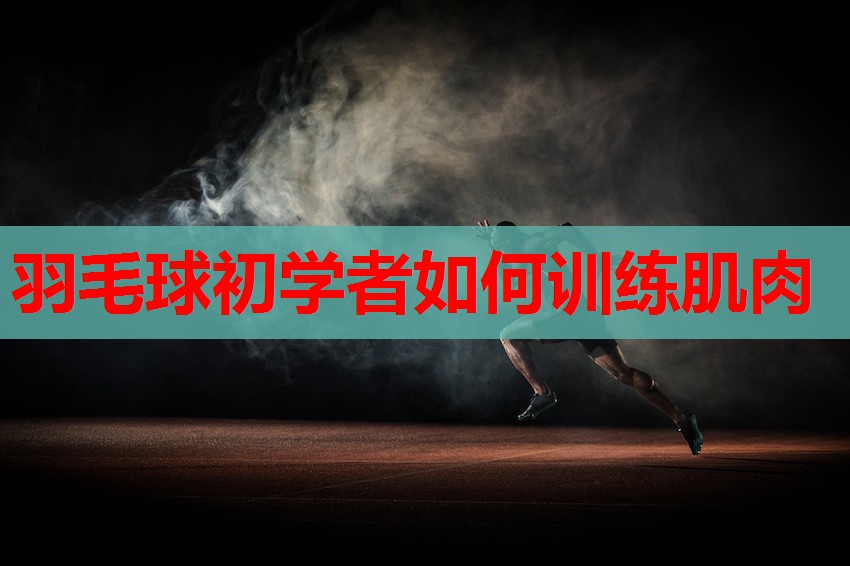 羽毛球初学者如何训练肌肉 羽毛球初学者如何训练肌肉